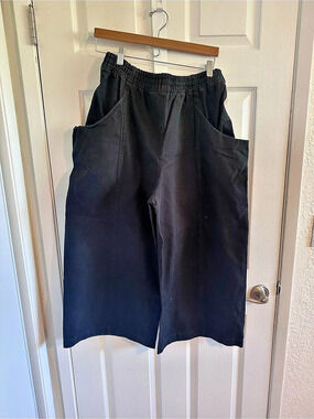 Elizabeth Suzann Black Wide Clyde Pants Size 16 S